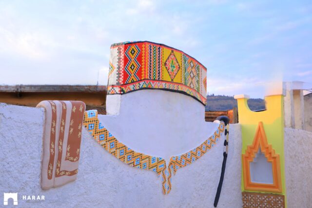 Discover the rich history, vibrant culture, and architectural marvels of Harar